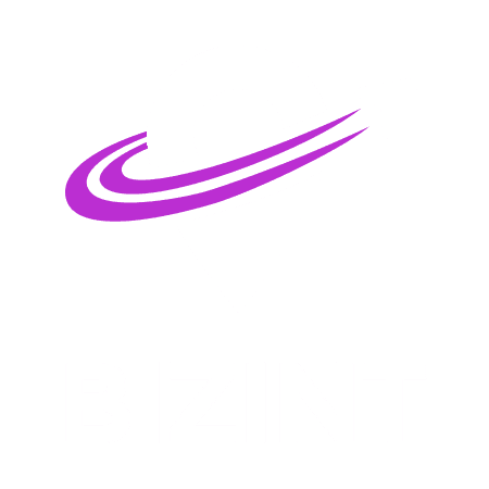 BIZINT Logo